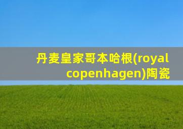 丹麦皇家哥本哈根(royal copenhagen)陶瓷